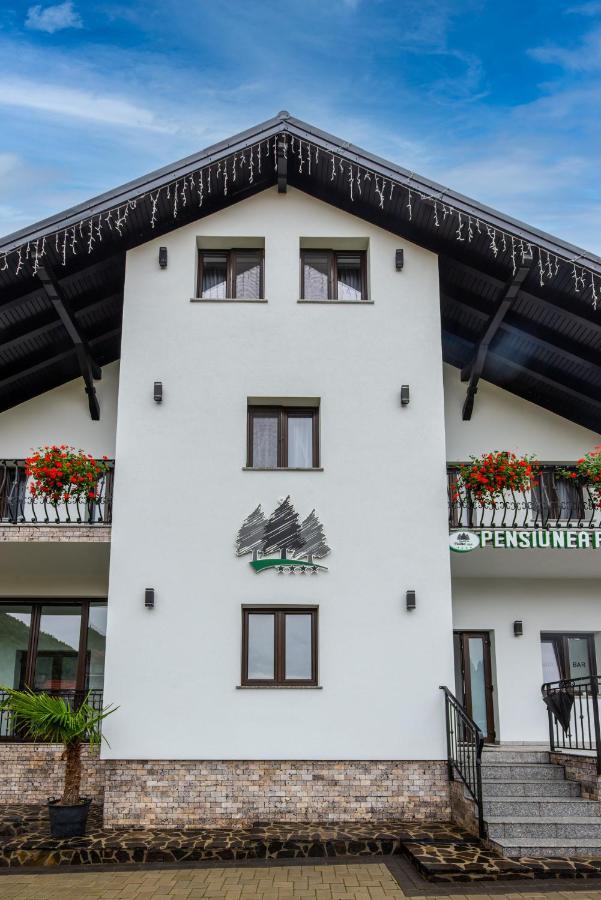 Pensiunea Paradisul Verde Moisei Exteriör bild