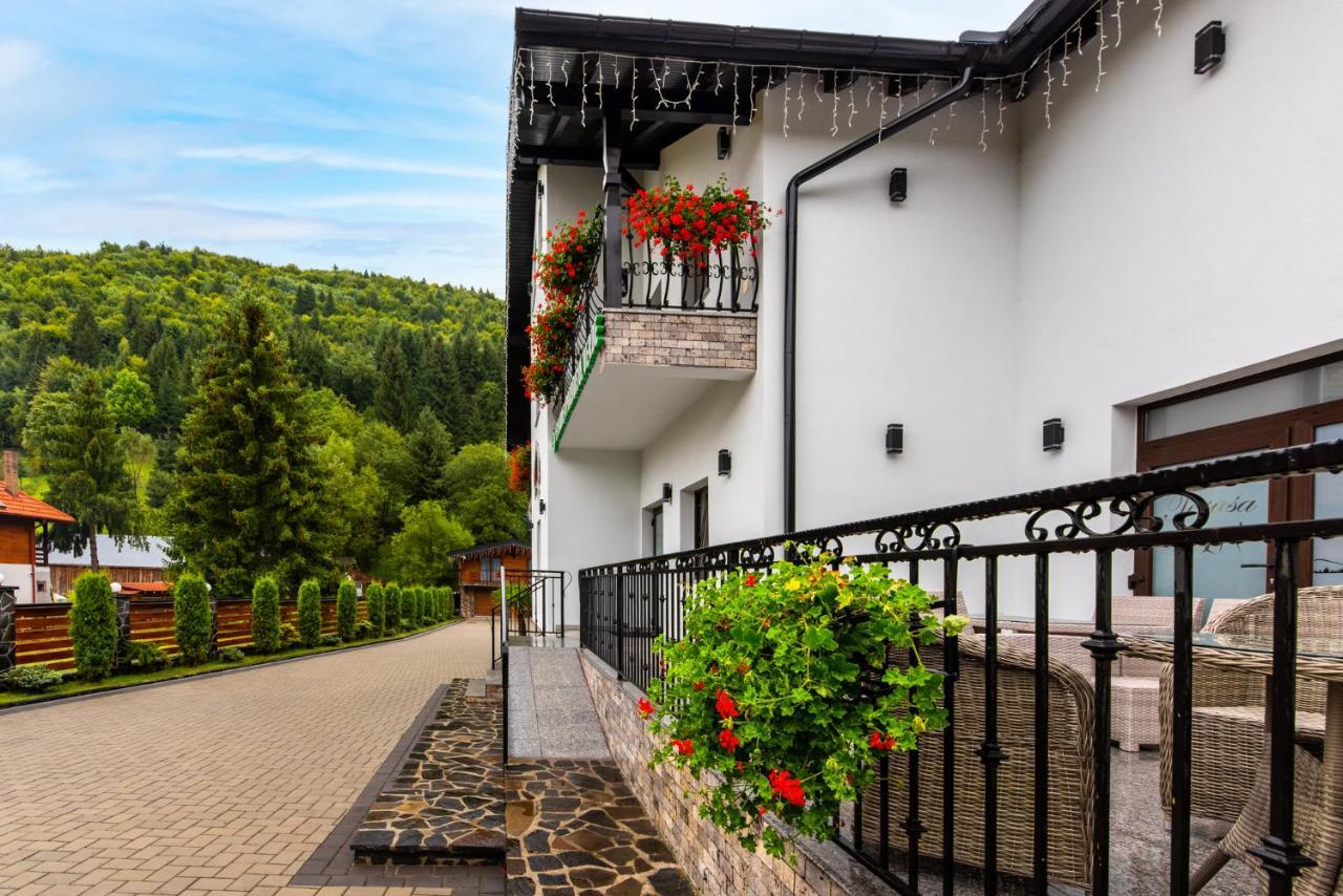 Pensiunea Paradisul Verde Moisei Exteriör bild