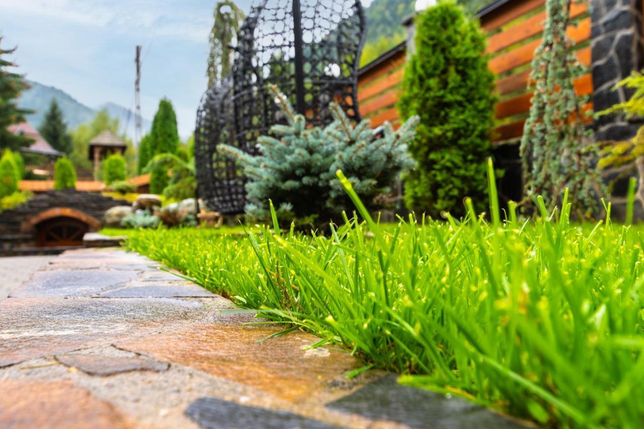 Pensiunea Paradisul Verde Moisei Exteriör bild