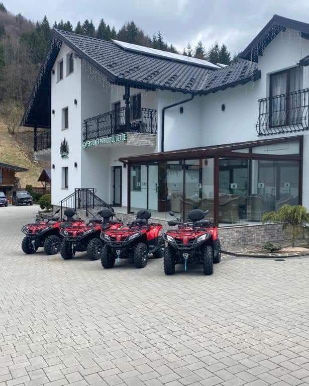 Pensiunea Paradisul Verde Moisei Exteriör bild